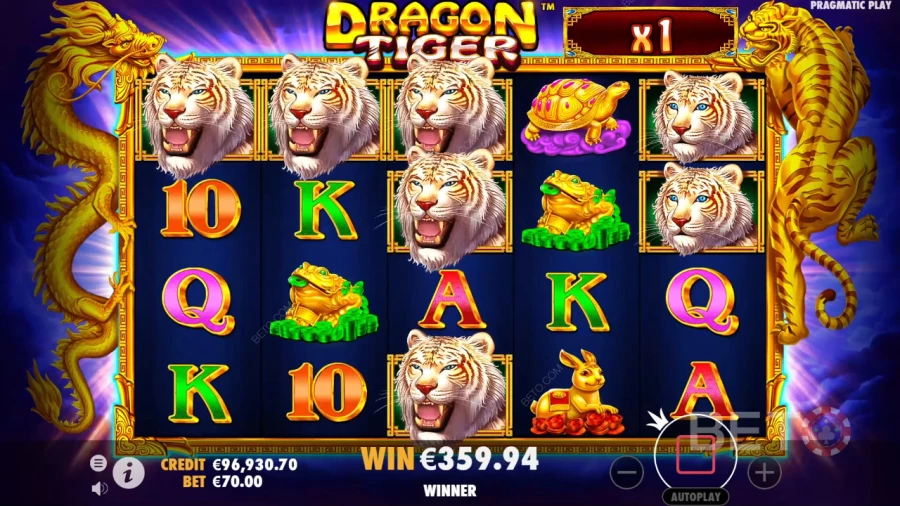 Dragon Tiger Gaming Success
